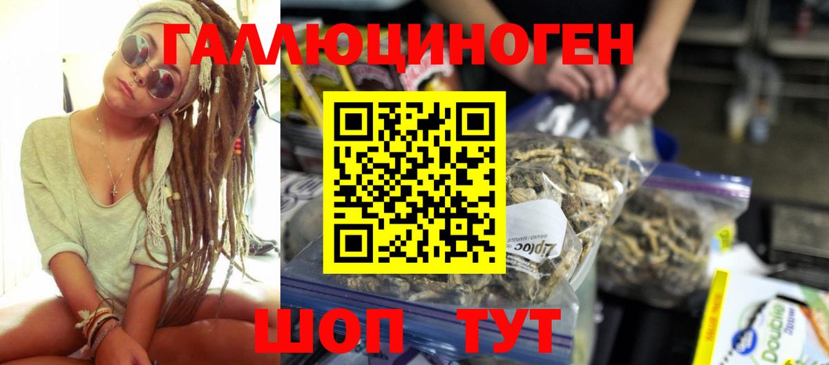 Большой Камень  Псилоцибиновые грибы GOLDEN TEACHER  Вход с VPN 