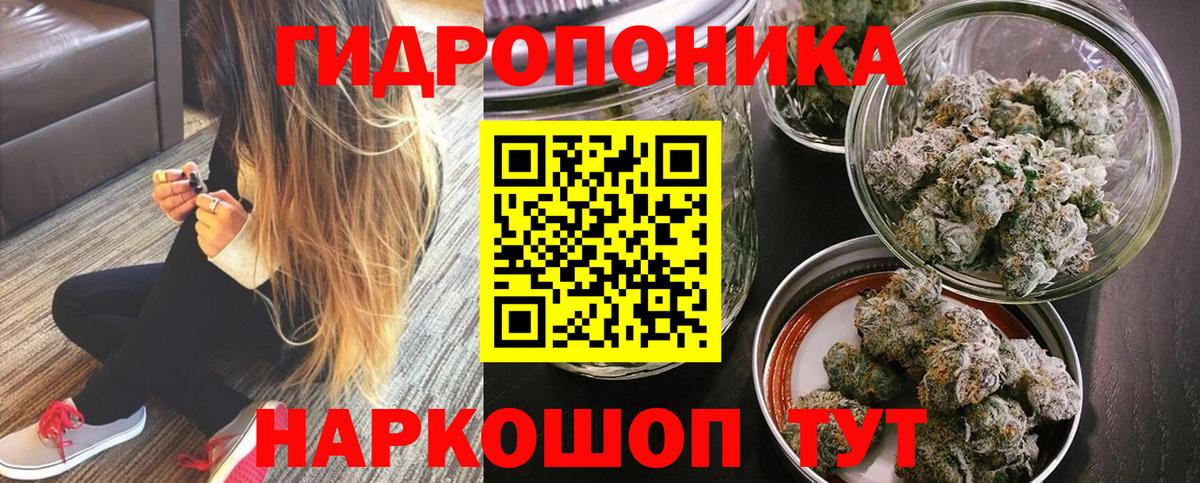 Марихуана конопля  Канабис сатива  Большой Камень  Бошки марихуана Ganja  Вход с VPN 
